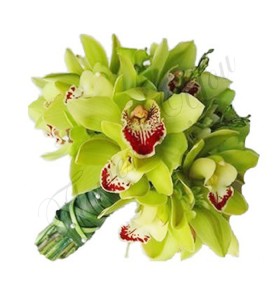 Pachete nunta orhidee verde