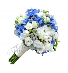 Pachete nunta hortesia blue