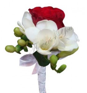 Cocarda frezii trandafir