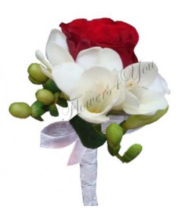 Cocarda frezii trandafir