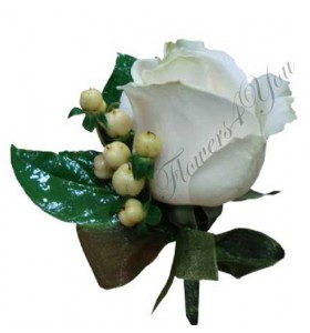 Cocarda trandafir alb hipericum
