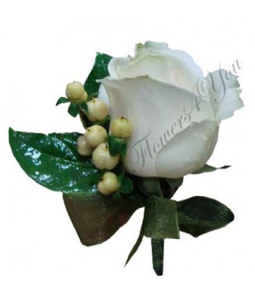 Cocarda trandafir alb hipericum