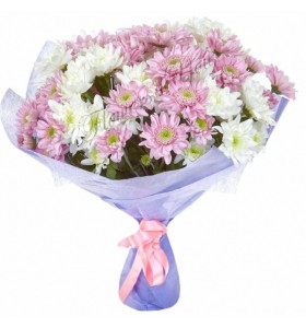 Buchete crizanteme albe roz
