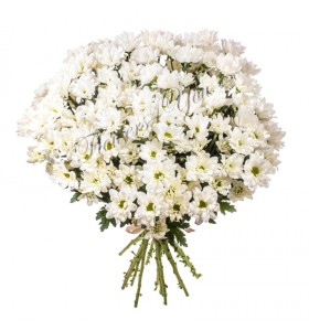 Buchete crizanteme albe