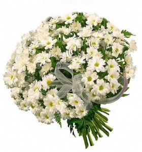 Buchete crizanteme albe funda