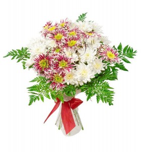 Buchete crizanteme albe grena