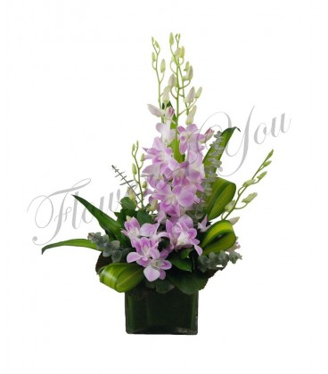 Aranjament dendrobium alb-roz