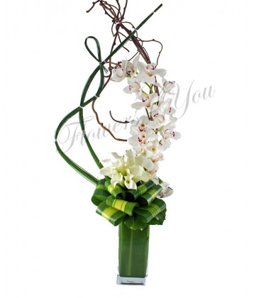 Aranjament orhidee cale