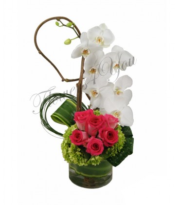 Aranjament phalaenopsis trandafiri