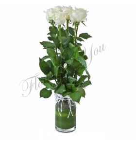 Aranjament trandafiri albi