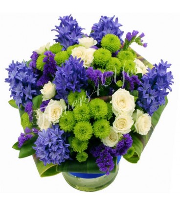 Aranjament zambile santini