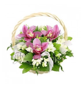 Aranjamente florale orhidee grena frezii